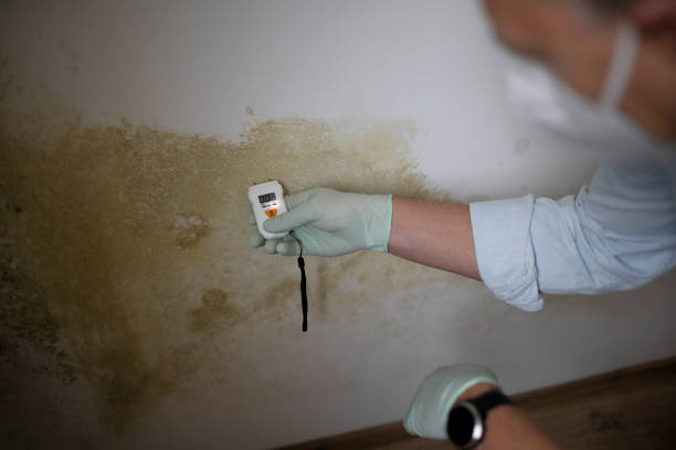 Best Crawl Space Mold Removal  in Westbrook Center, CT